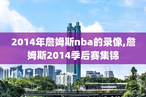 2014年詹姆斯nba的录像,詹姆斯2014季后赛集锦