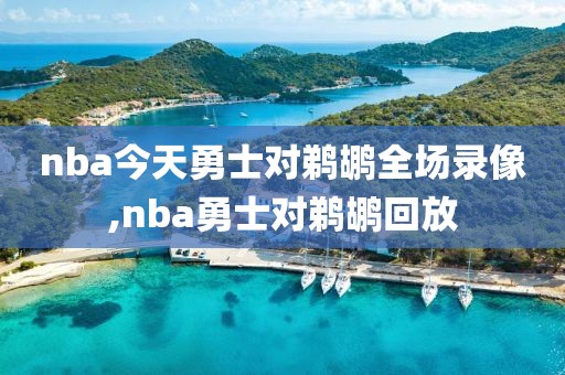 nba今天勇士对鹈鹕全场录像,nba勇士对鹈鹕回放