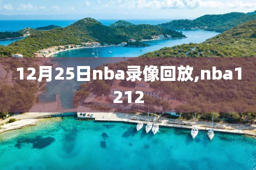 12月25日nba录像回放,nba1212