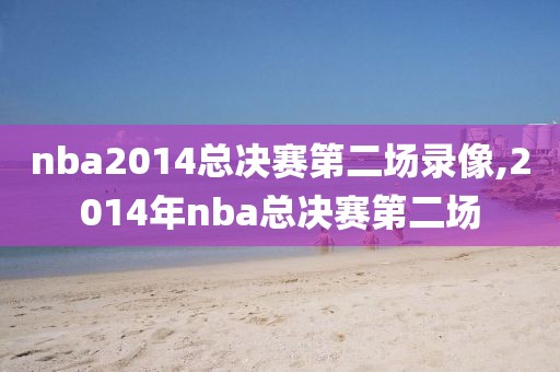 nba2014总决赛第二场录像,2014年nba总决赛第二场