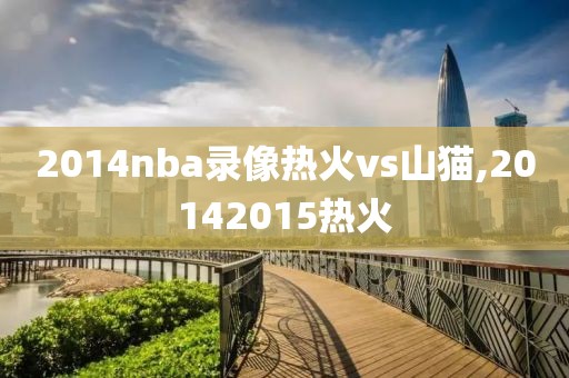2014nba录像热火vs山猫,20142015热火