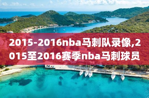 2015-2016nba马刺队录像,2015至2016赛季nba马刺球员