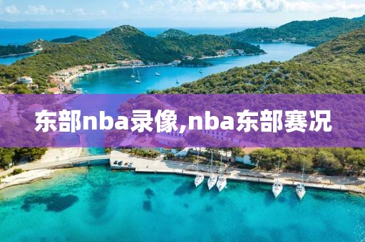 东部nba录像,nba东部赛况