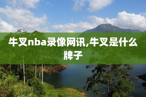 牛叉nba录像网讯,牛叉是什么牌子