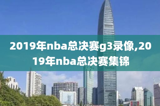 2019年nba总决赛g3录像,2019年nba总决赛集锦